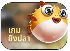 d2drich ทางเข้า